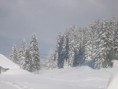 /album/galerie-photos/hiver-2009-015-jpg/